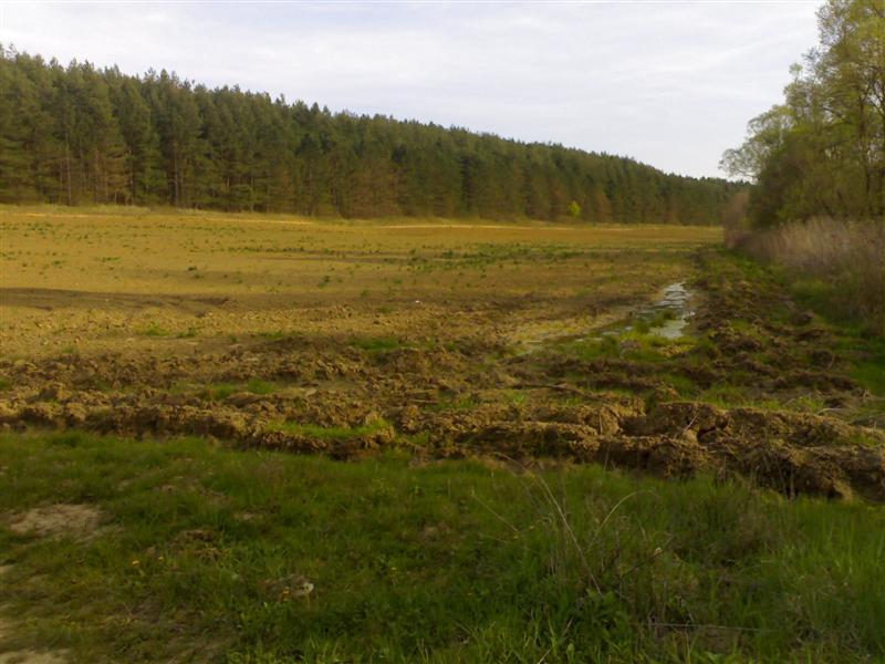200704091829 .jpg